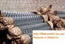 Сетка Рабица оцинковка (60х60)1,5х10м  рулон Украина